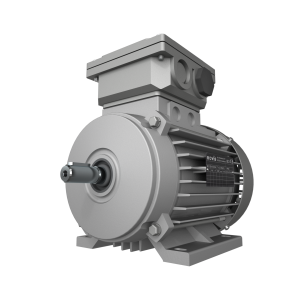 2.20kW, 3.000 min-¹, B3, IE3